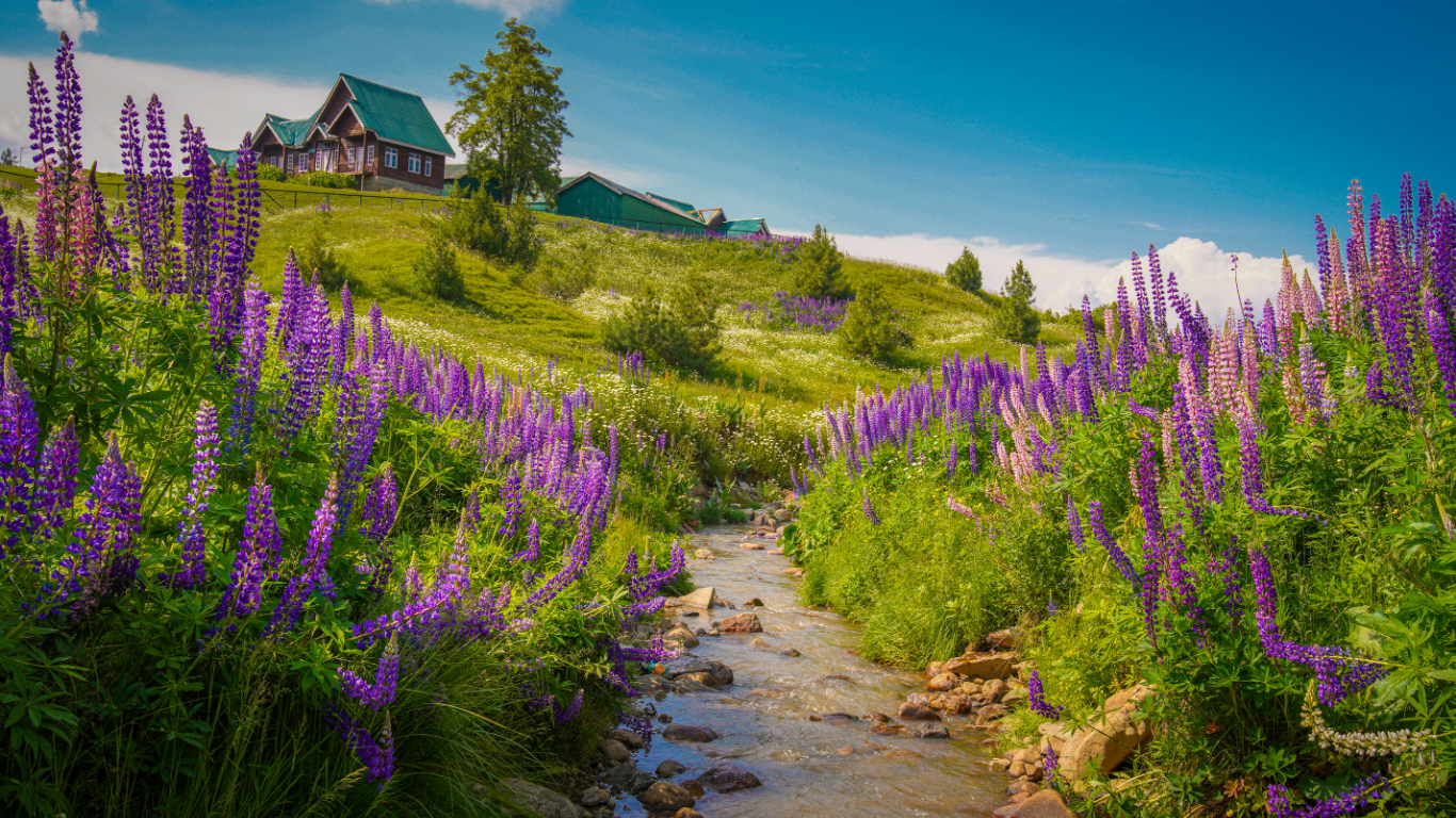 Kashmir Marvellous Tour