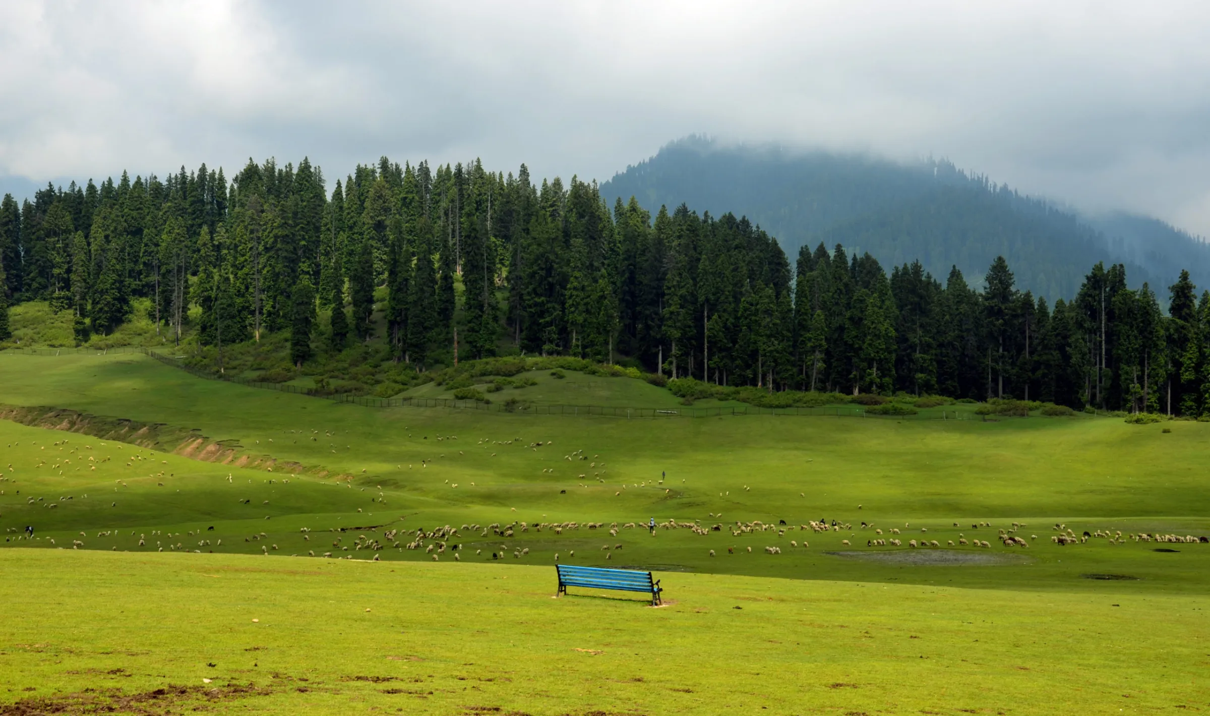 Magnificent Kashmir Valley Tour